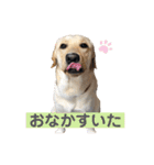 ★いぶき☆（個別スタンプ：6）