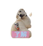 ★いぶき☆（個別スタンプ：10）