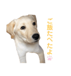 ★いぶき☆（個別スタンプ：11）