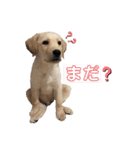 ★いぶき☆（個別スタンプ：12）