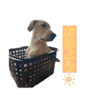★いぶき☆（個別スタンプ：13）
