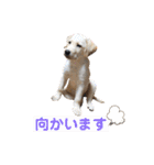 ★いぶき☆（個別スタンプ：14）