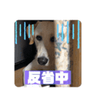 ★いぶき☆（個別スタンプ：24）