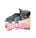 癒しのめいスタンプ（個別スタンプ：1）