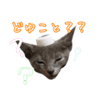 癒しのめいスタンプ（個別スタンプ：2）