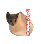 癒しのめいスタンプ（個別スタンプ：5）