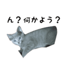 癒しのめいスタンプ（個別スタンプ：6）