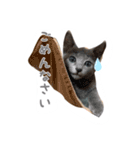 癒しのめいスタンプ（個別スタンプ：8）