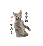 癒しのめいスタンプ（個別スタンプ：9）
