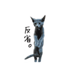 癒しのめいスタンプ（個別スタンプ：12）