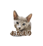 癒しのめいスタンプ（個別スタンプ：14）