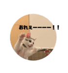 山口家のアニマルズののちゃん編（個別スタンプ：4）