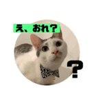 山口家のアニマルズののちゃん編（個別スタンプ：7）