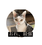 山口家のアニマルズののちゃん編（個別スタンプ：8）