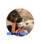 山口家のアニマルズののちゃん編（個別スタンプ：15）