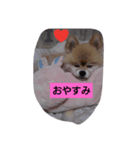 有頂天（個別スタンプ：1）