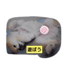 有頂天（個別スタンプ：2）