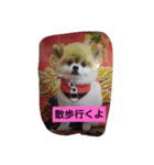 有頂天（個別スタンプ：3）