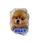 有頂天（個別スタンプ：4）