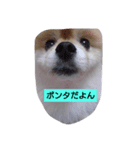 有頂天（個別スタンプ：5）