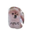 有頂天（個別スタンプ：6）