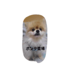有頂天（個別スタンプ：8）