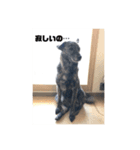 チェリオくんのスタンプ（個別スタンプ：1）