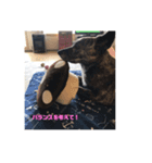 チェリオくんのスタンプ（個別スタンプ：8）
