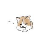 腹毛がくるくるネコちゃん（個別スタンプ：5）