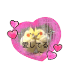 オカメの愉快な仲間たち（個別スタンプ：1）