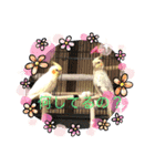オカメの愉快な仲間たち（個別スタンプ：5）