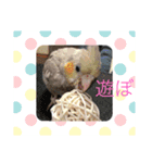 オカメの愉快な仲間たち（個別スタンプ：6）