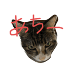はなくり（個別スタンプ：2）
