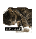 はなくり（個別スタンプ：3）