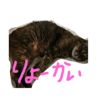 はなくり（個別スタンプ：4）