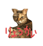 はなくり（個別スタンプ：5）