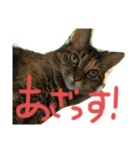 はなくり（個別スタンプ：6）