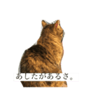 はなくり（個別スタンプ：8）