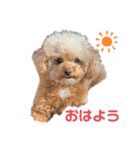 アデルん❤︎（個別スタンプ：2）