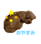 アデルん❤︎（個別スタンプ：3）