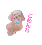 アデルん❤︎（個別スタンプ：4）