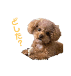 アデルん❤︎（個別スタンプ：8）