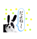 シャイアさんのスタンプ❤️（個別スタンプ：7）