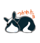 鼻白くろちゃん 2（個別スタンプ：2）