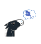 鼻白くろちゃん 2（個別スタンプ：5）