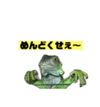 イグアナのオルフェ v2（個別スタンプ：3）