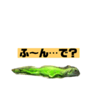 イグアナのオルフェ v2（個別スタンプ：7）