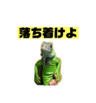 イグアナのオルフェ v2（個別スタンプ：13）