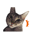 ねこのclaudia（個別スタンプ：16）