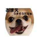 こんぶの1日（個別スタンプ：8）